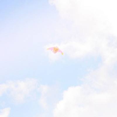 美丽中国行丨宛若童话秘境 有一种浪漫叫“九寨蓝”